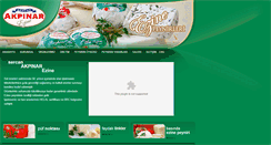 Desktop Screenshot of ezinepeyniri.com